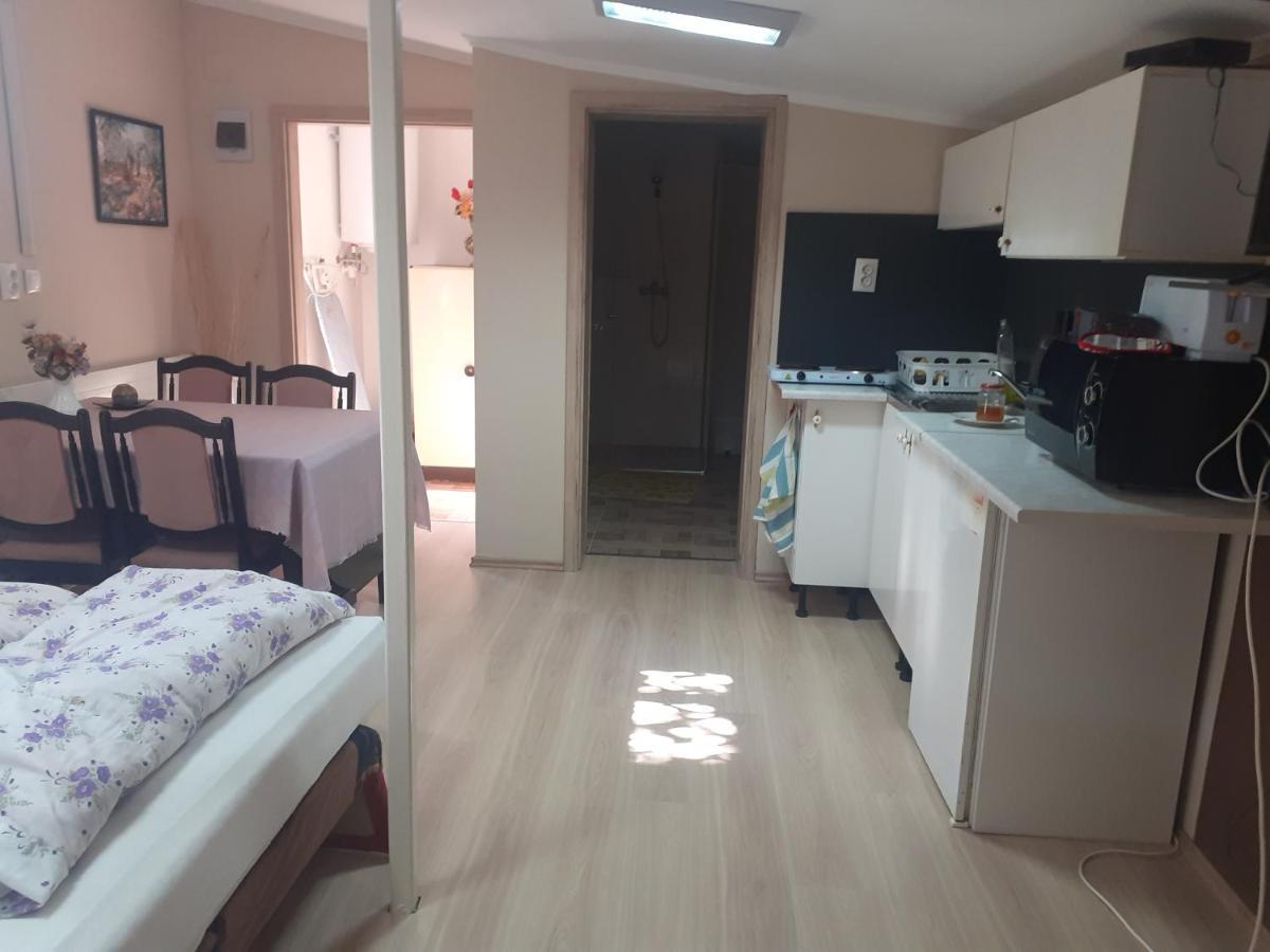 Csilla Apartman Balogunyom エクステリア 写真